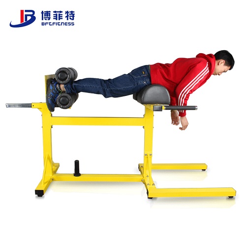 BFT1023水平罗马椅训练器 山羊挺身健身器材广州大图展示1