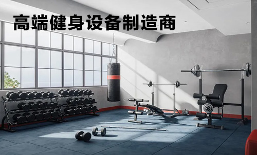 高端健身设备制造商：科技与健康的完美融合