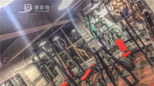 伊拉克客户的健身房图片 桃子视频官网版在线播放健身器材案例