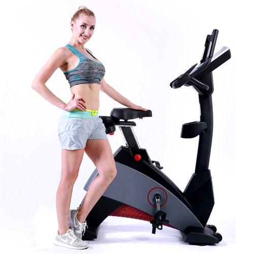 BCE601 立式健身车桃子视频在线看免费视频网 健身房器材工厂批发