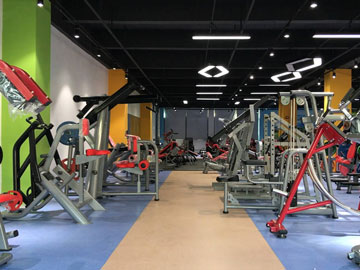 桃子视频官网版在线播放健身器材公司展厅实拍图片7